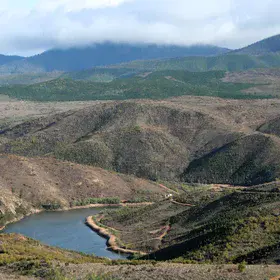 Cotter River: from fire to flow