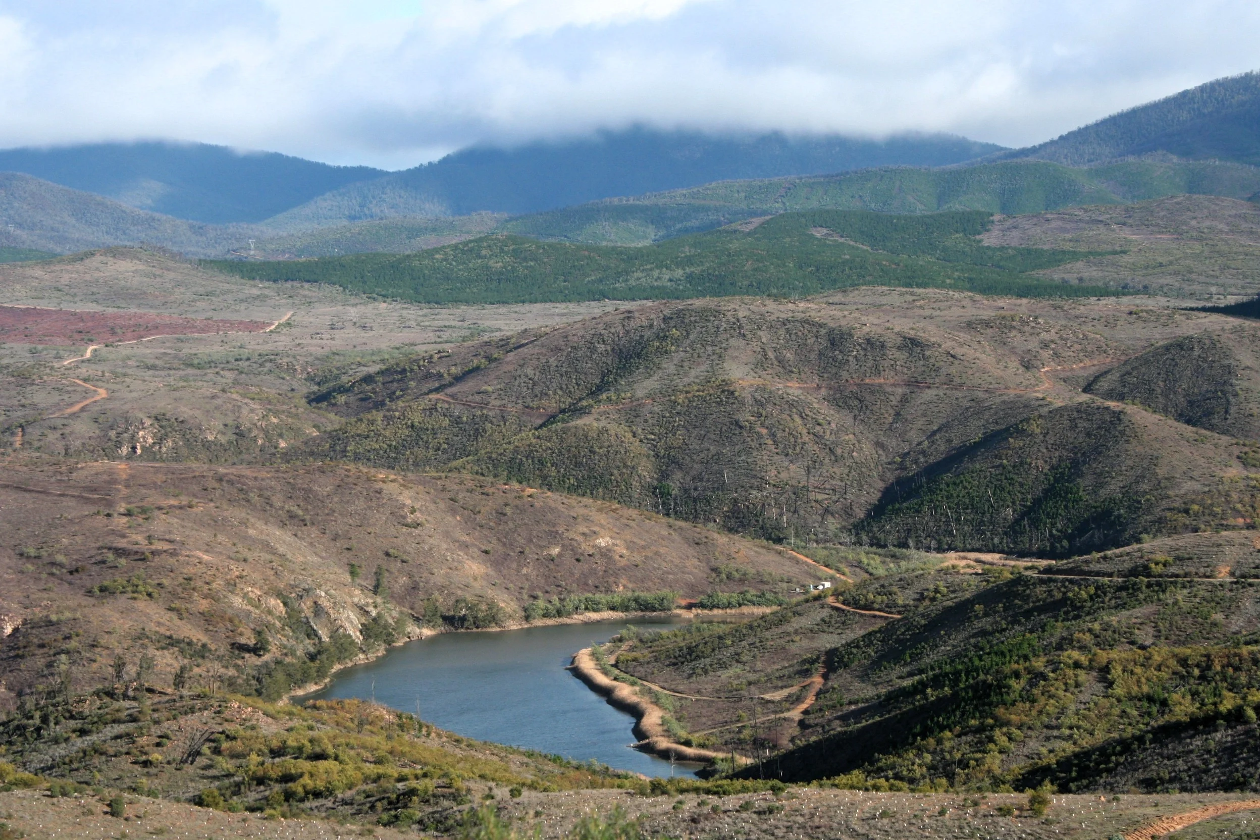 Cotter River: from fire to flow