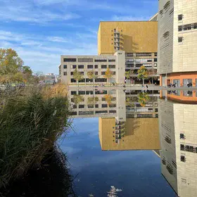 Mirroring urban water