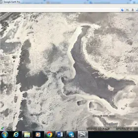Desert shark of central Iran