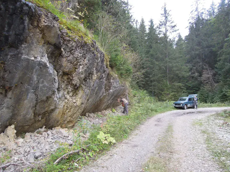 Large scale slickenside at the Muránska planina Plateau (Western Carpathians, Slovakia)