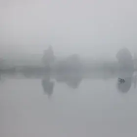 A silent lake veiled in pale mist