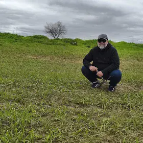 After the flood, the field