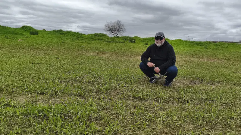 After the flood, the field