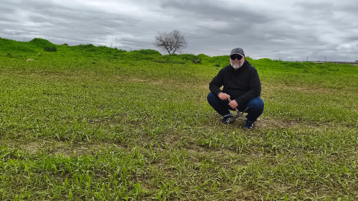 After the flood, the field