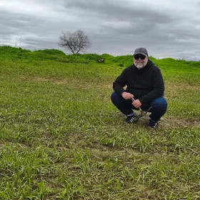 After the flood, the field