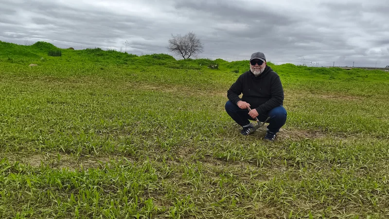 After the flood, the field