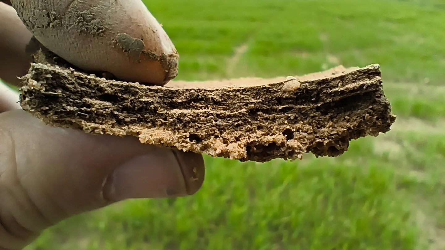 Layers of the quiet earth
