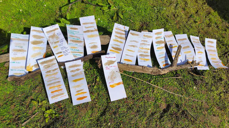 The colors we carry: stains of the landscape