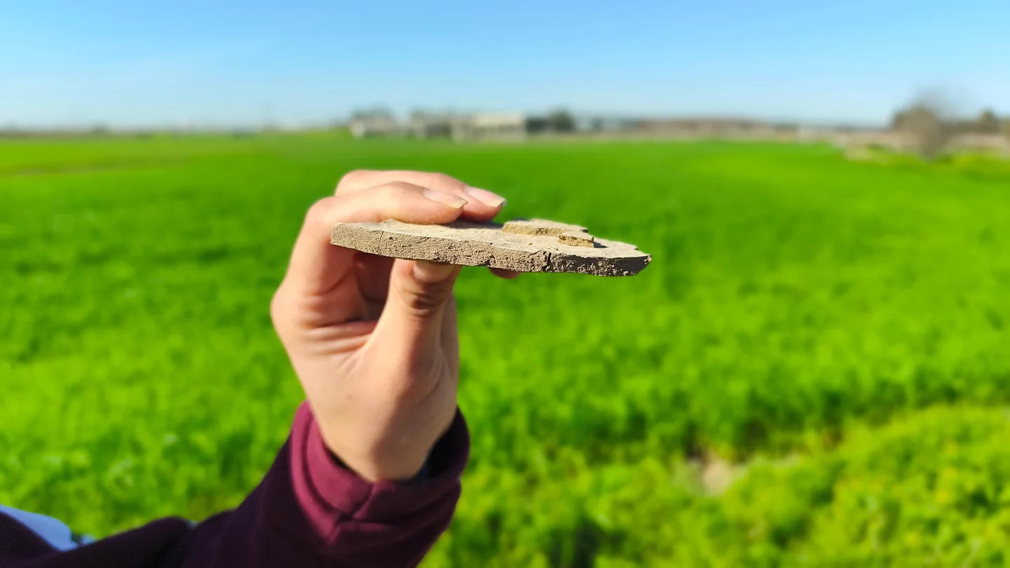 A thin line between soil and sky