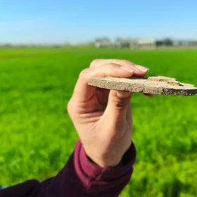 A thin line between soil and sky