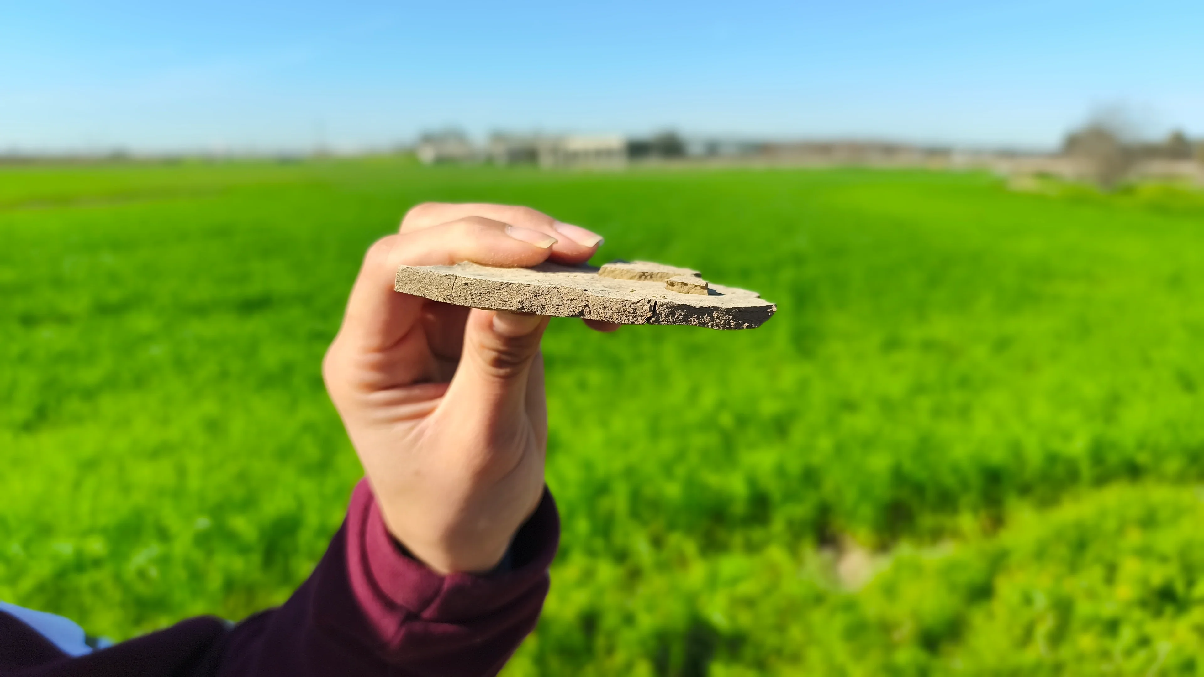 A thin line between soil and sky
