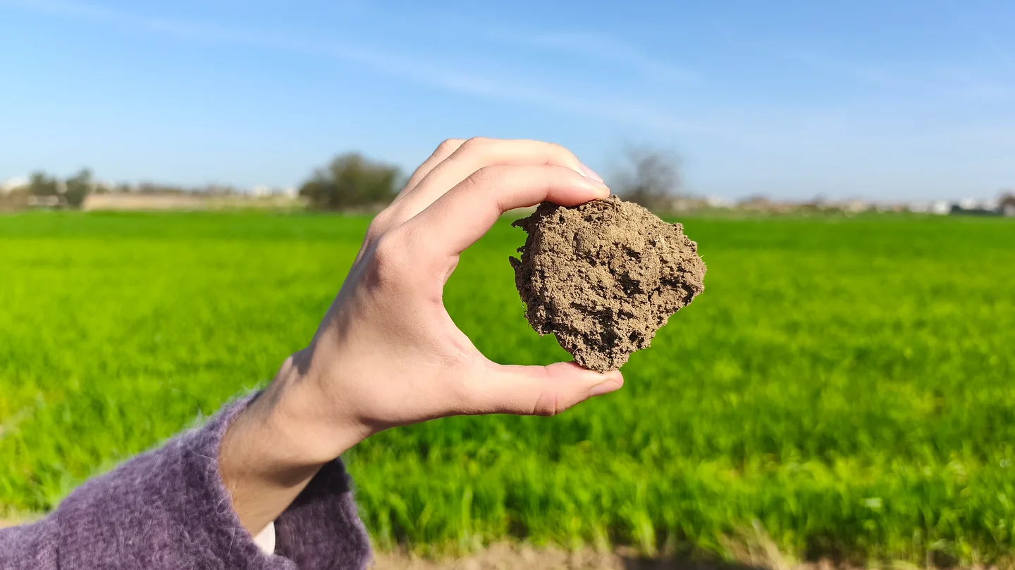 Hand holding soil against a lush green field under a clear blue sky.