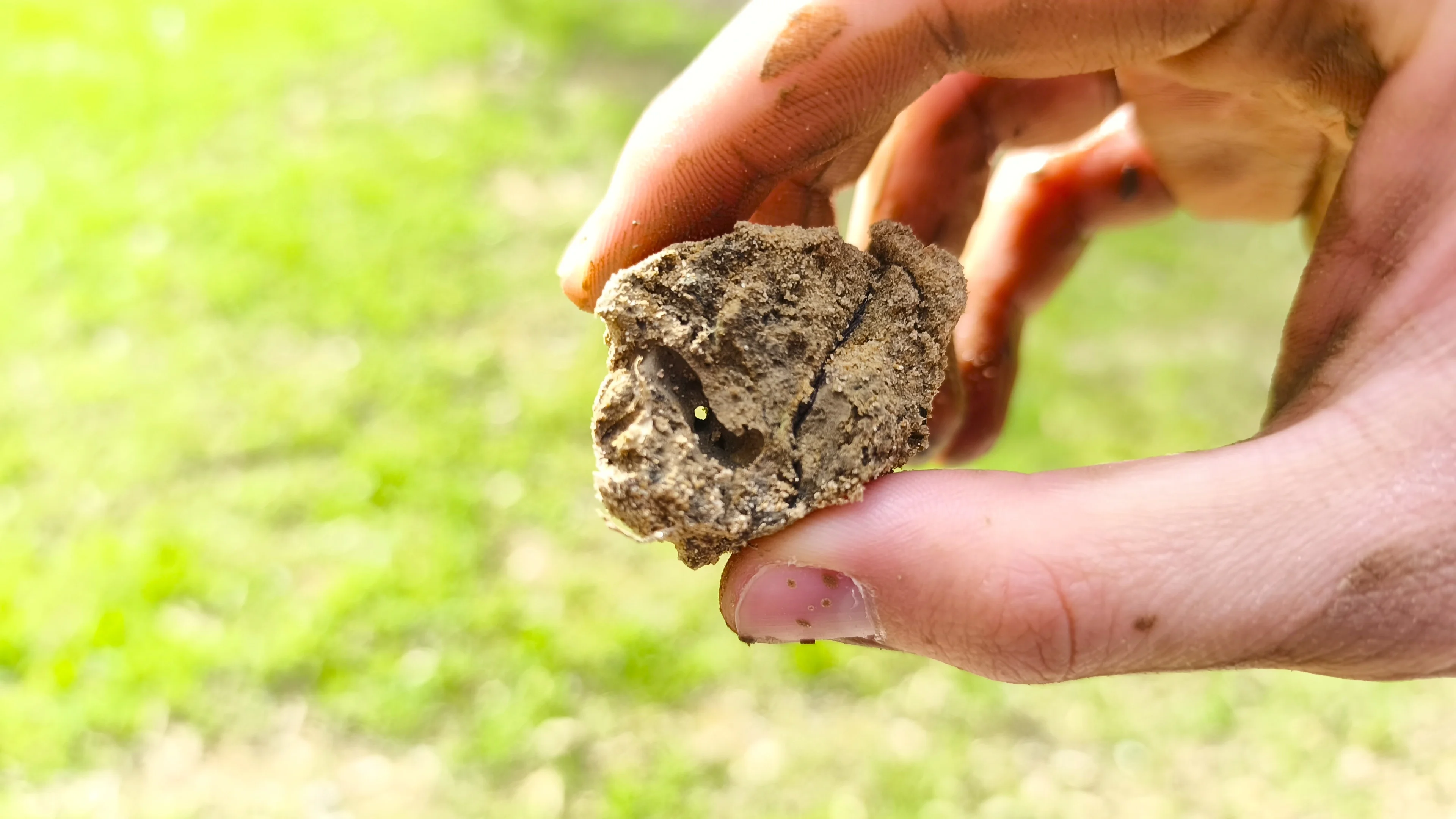 Close-up of a small soil aggregate held between muddy fingers, its surface marked by holes, pores and a crack, against a blurred green background.