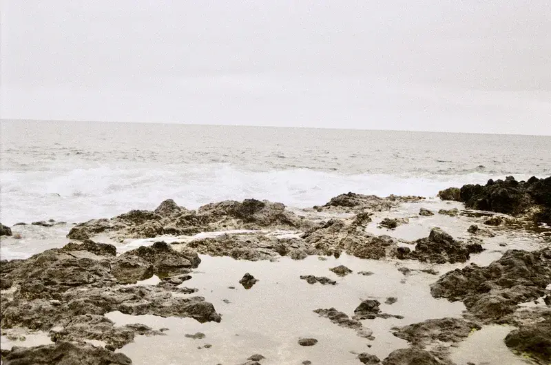 Where Pahoehoe Lava Flows Meet The Atlantic Ocean