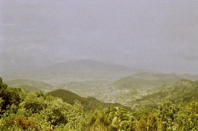 Tenerife, Viewed From The Corona Forestal