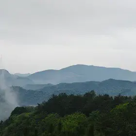 Mist and Mountains: An Ink-Wash Landscape in Jingdezhen Forest Park