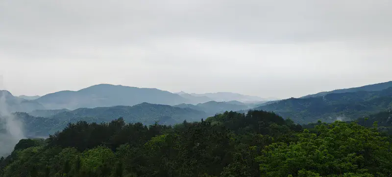 Mist and Mountains: An Ink-Wash Landscape in Jingdezhen Forest Park