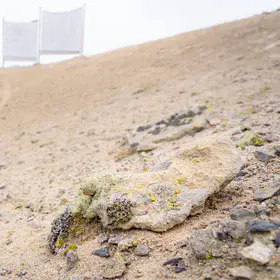When Fog Becomes Life: Fog Water Harvesting in the Hyperarid Atacama Desert