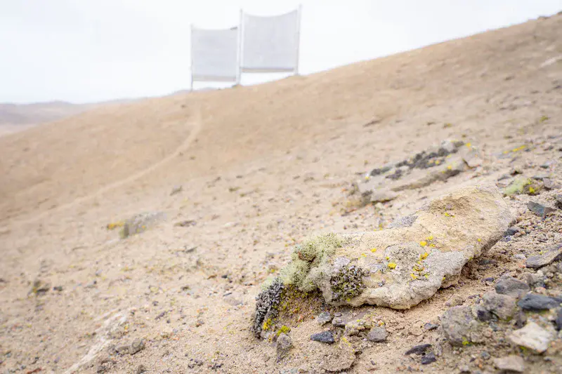 When Fog Becomes Life: Fog Water Harvesting in the Hyperarid Atacama Desert