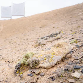 When Fog Becomes Life: Fog Water Harvesting in the Hyperarid Atacama Desert