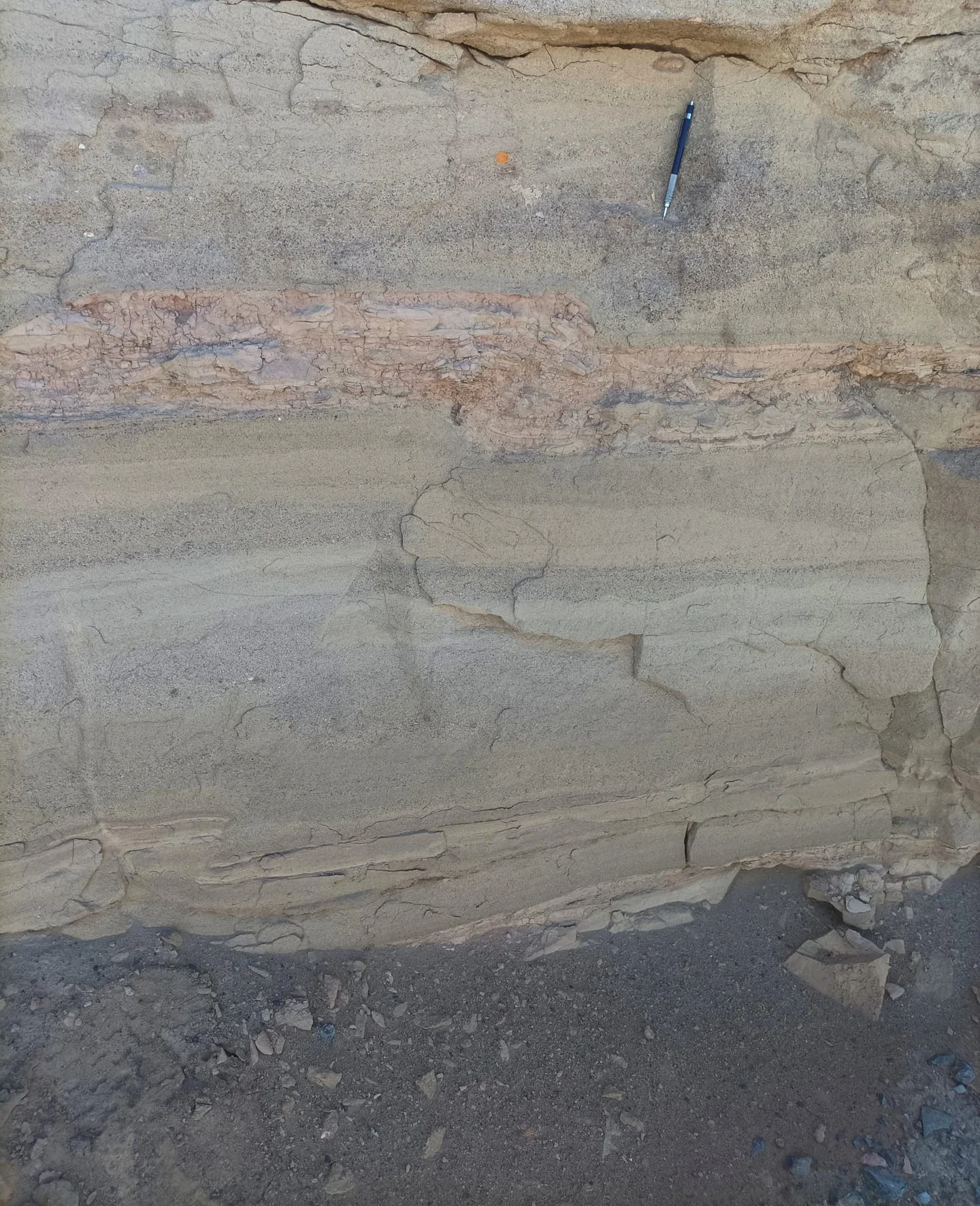 Mesoscale reverse fault