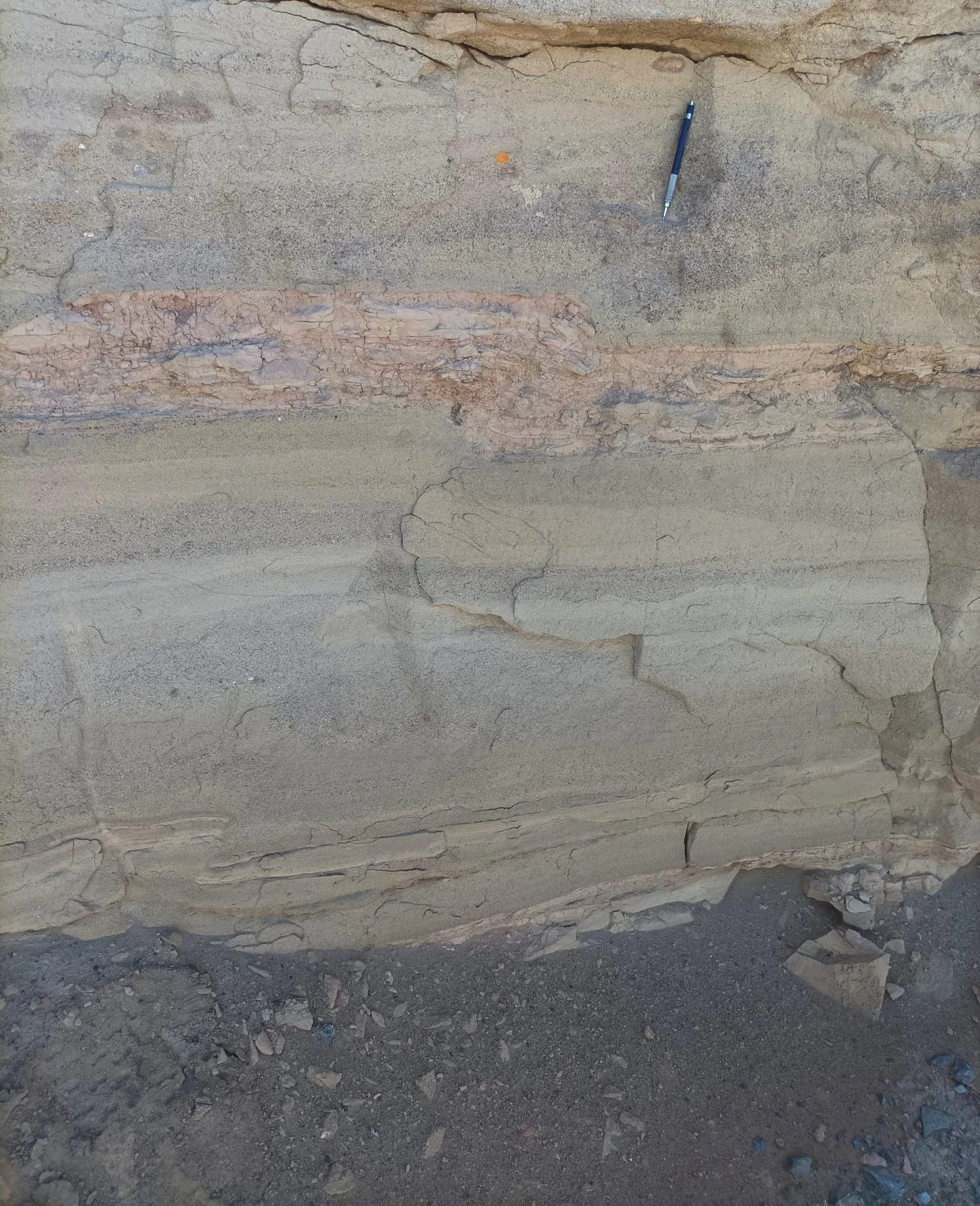 Mesoscale reverse fault