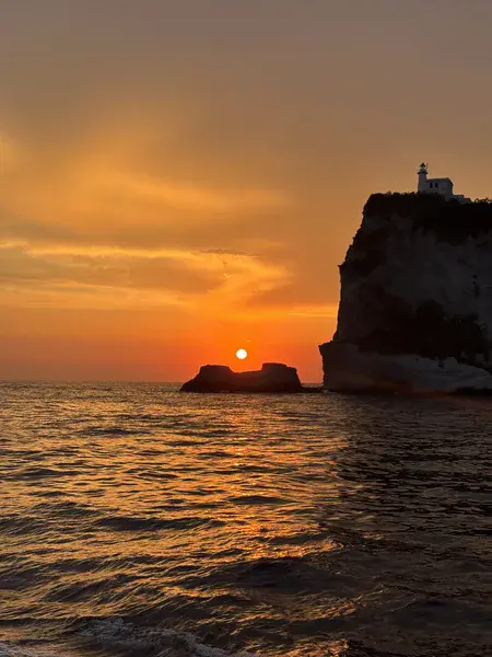 Perfect catch of the day!