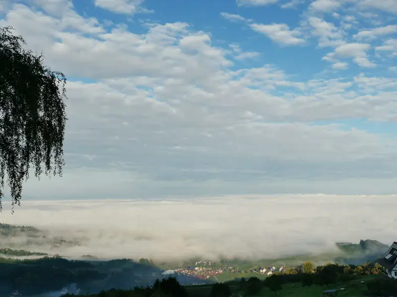 Fog and low stratus clouds in Sasbachwalden