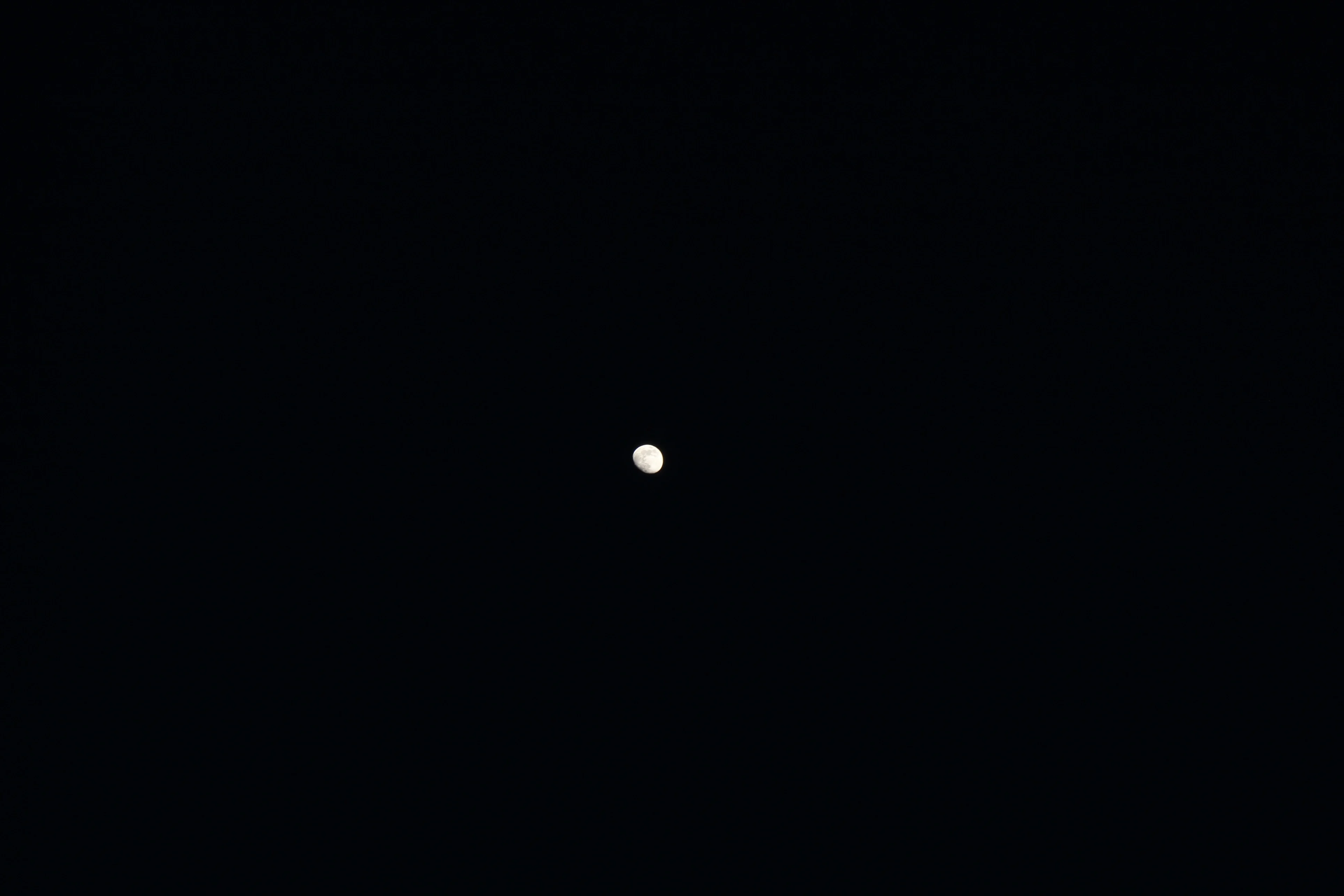 Gibbous moon in a dark sky
