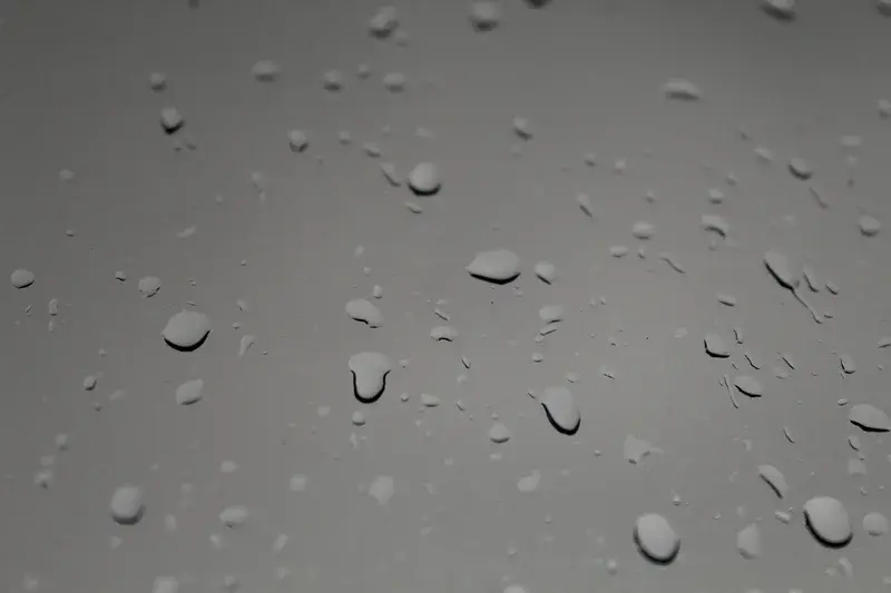 Raindrops on a window