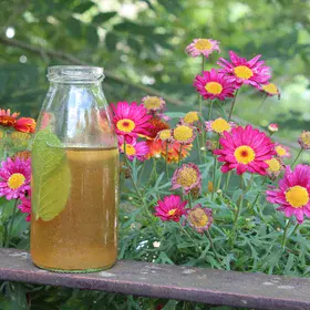 Homemade tee places next to colourful flowers
