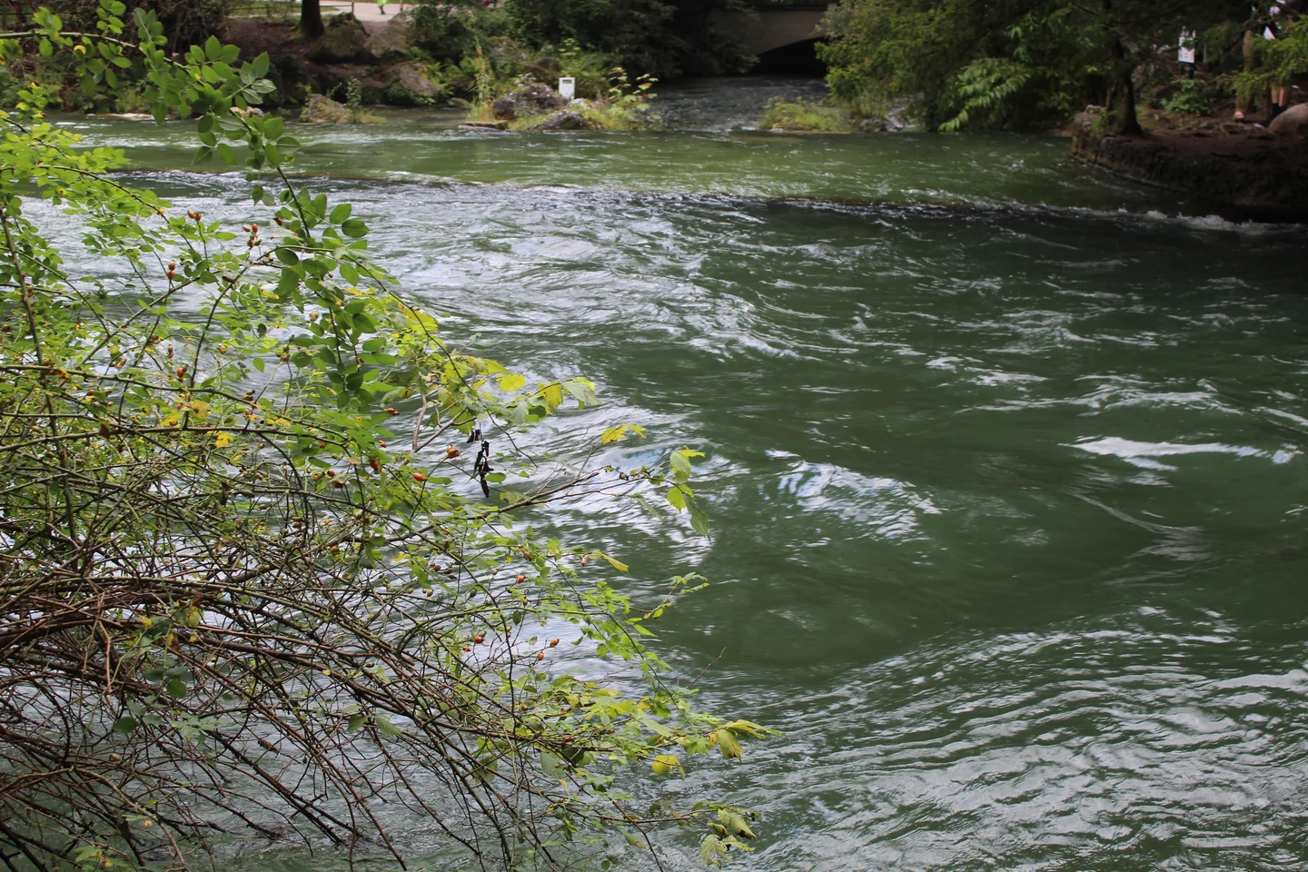 A river flows through a lush, green landscape with foliage framing the scene.