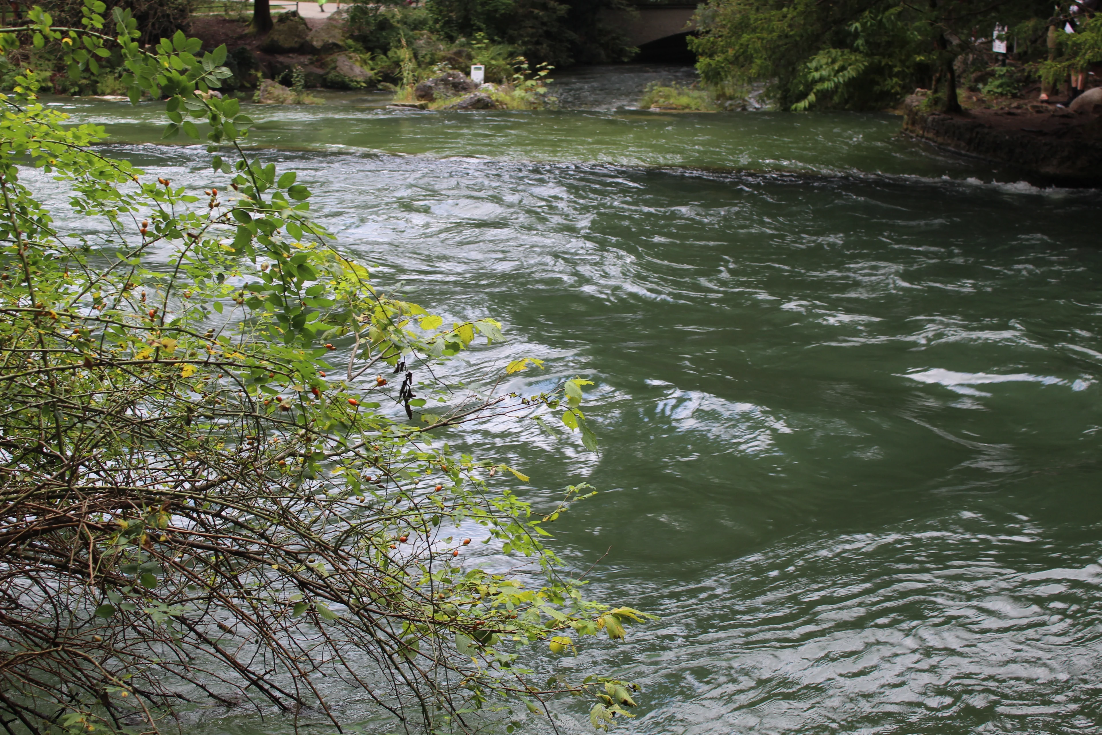 A river flows through a lush, green landscape with foliage framing the scene.