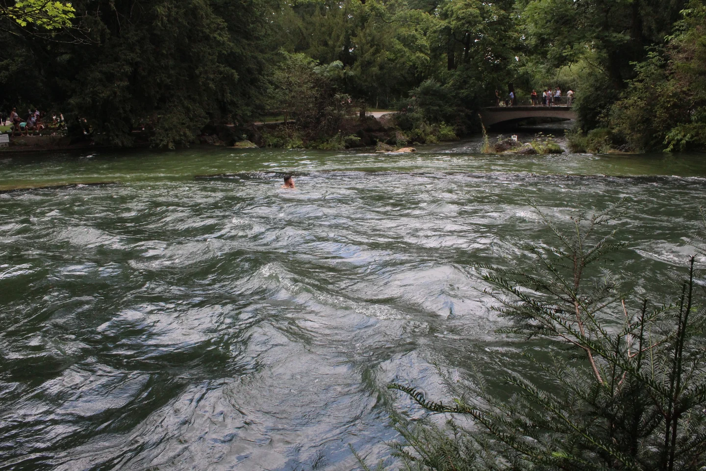 Swimmer in a river surrounded by lush greenery with people on a bridge in the background.