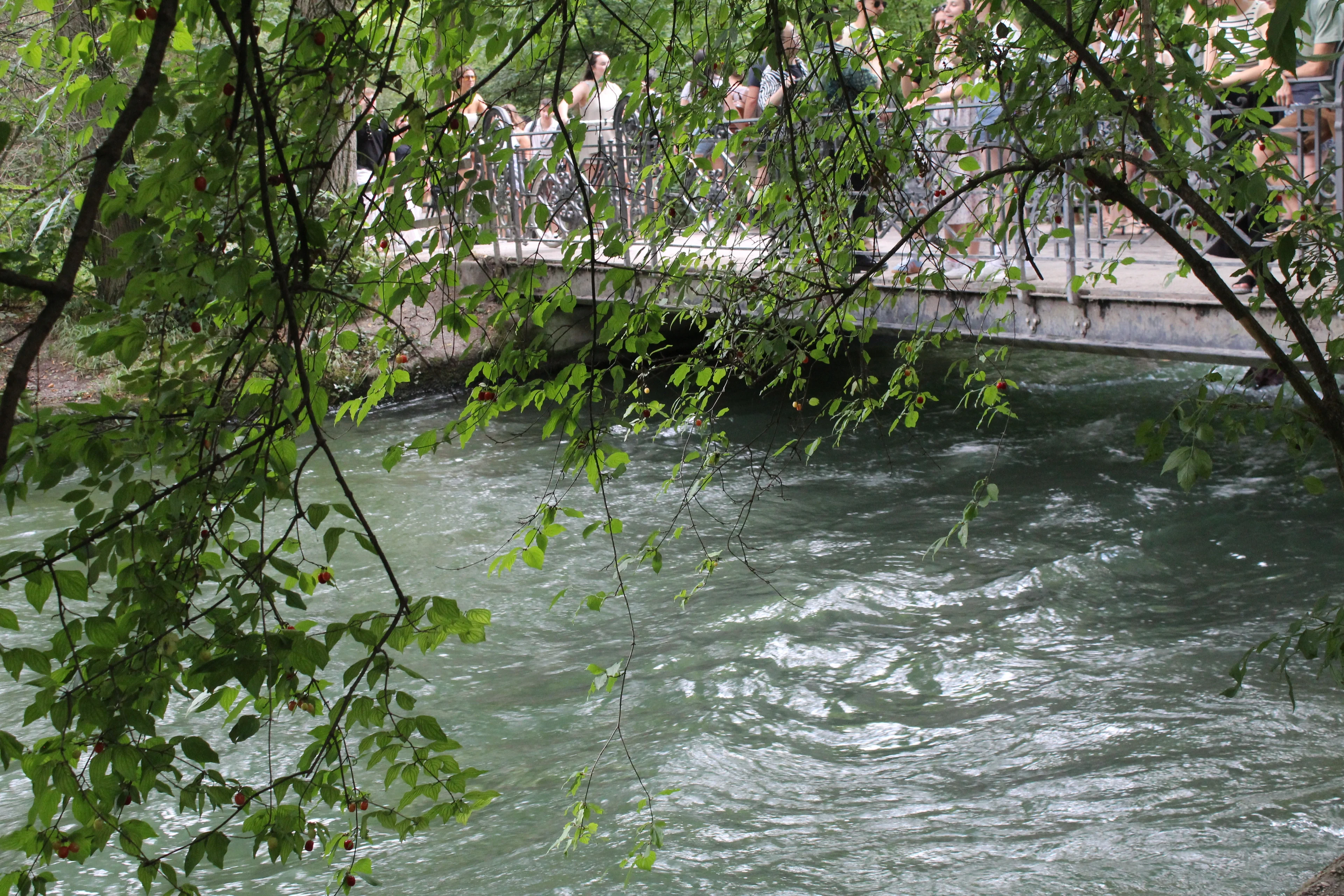 River and trees in the English garden, Munich, Germany