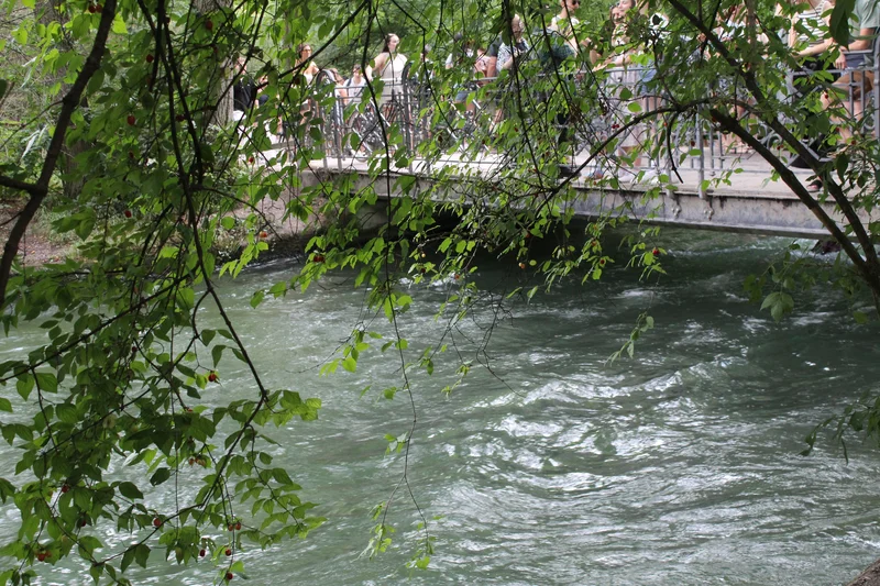 River and trees in the English garden, Munich, Germany