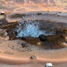 Bubbling Springs of Life by Emma Rogers
