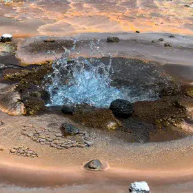Bubbling Springs of Life