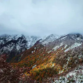 White glittering snow in autumn