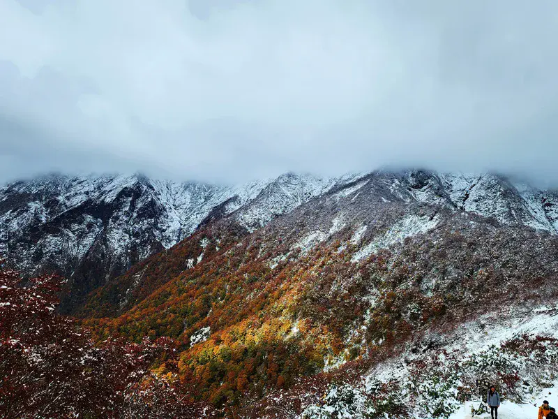 White glittering snow in autumn