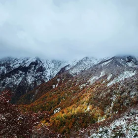 White glittering snow in autumn