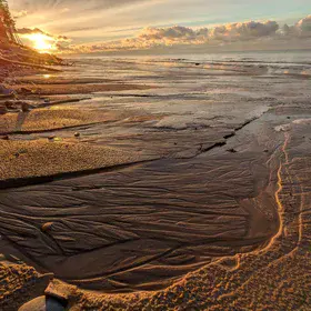 Frozen Rivulets of the Baltic Coast