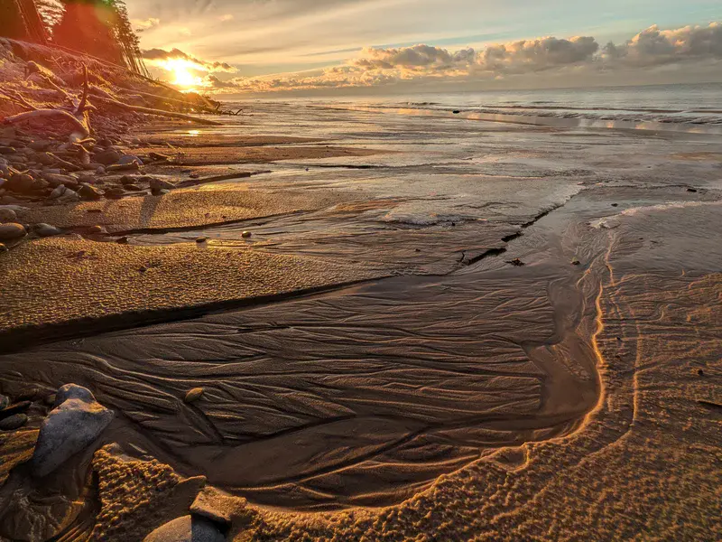 Frozen Rivulets of the Baltic Coast