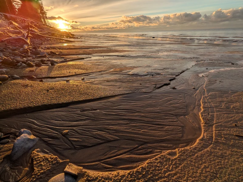 Frozen Rivulets of the Baltic Coast