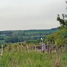 Fieldwork in Grasslands