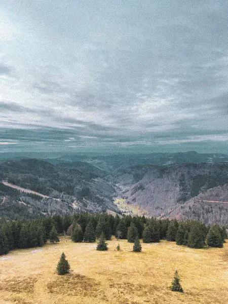 View from Feldberg in the Black Forest, Germany