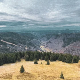 View from Feldberg in the Black Forest, Germany