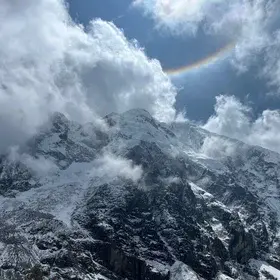 Halo above shades of white