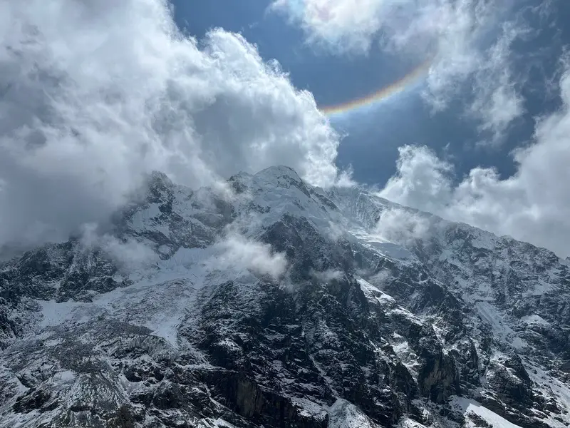 Halo above shades of white